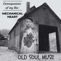 Consequences of My Bio-Mechanical Heart